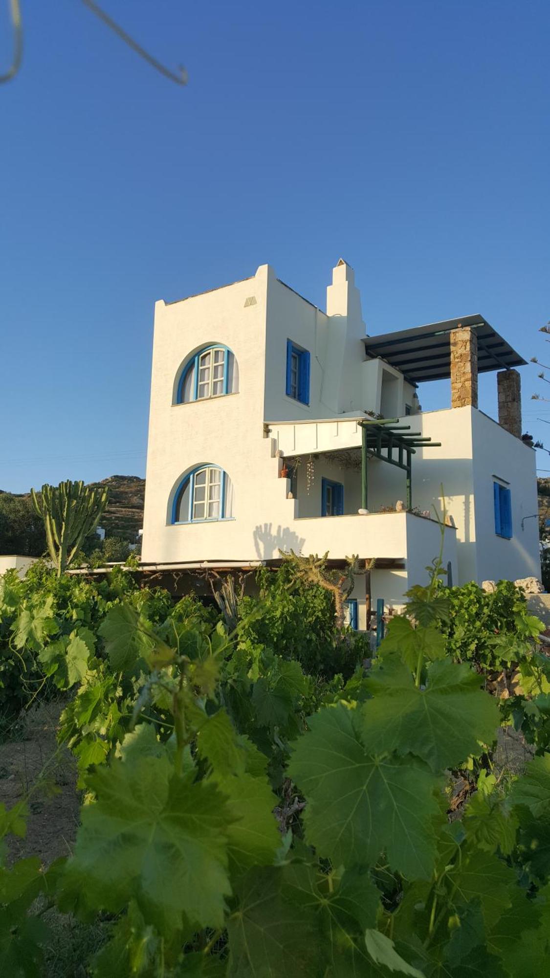 米科利维亚 Matina'S Vineyard酒店 外观 照片